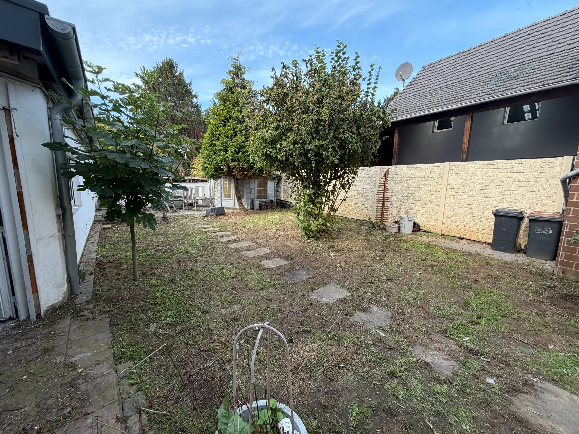 Garten freigeschnitten – nachher